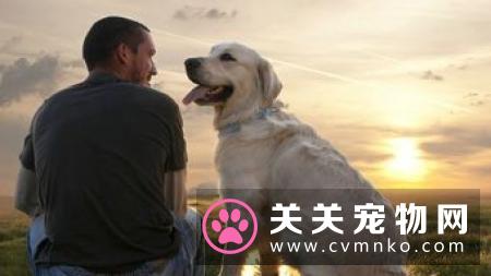 狗其实只要吃买来的狗粮就可以了,营养均衡,得皮肤病的就少!
