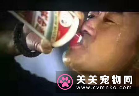 《战狼2》导演、主角吴京举起酒杯与袁仁国开心畅饮茅台酒