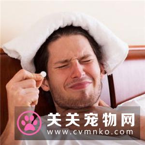 幼犬蜂窝织炎的临床症状、诊断和治疗方法