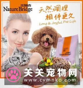 爱慕斯猫粮怎么样 天然猫粮比较受欢迎