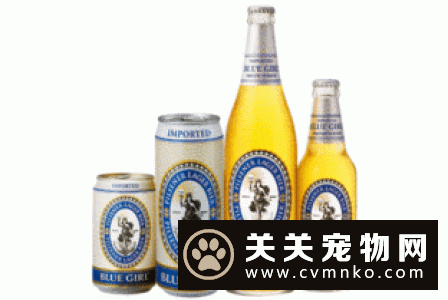 爱慕斯猫粮怎么样 天然猫粮比较受欢迎