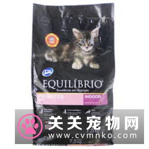 爱慕斯猫粮怎么样 天然猫粮比较受欢迎
