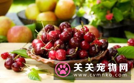 猫不能吃的蔬菜 其它不能吃的食物有哪些