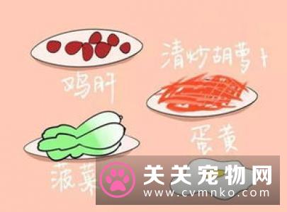 暹罗猫掉毛 哪些原因导致猫咪掉毛