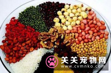 猫不能吃的蔬菜 其它不能吃的食物有哪些