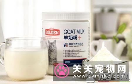 猫吃什么奶粉 选择猫牛奶方法及喂养方法