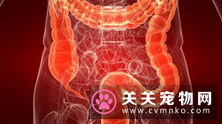 猫肠梗阻症状 猫肠梗阻的病因及需要防治方法