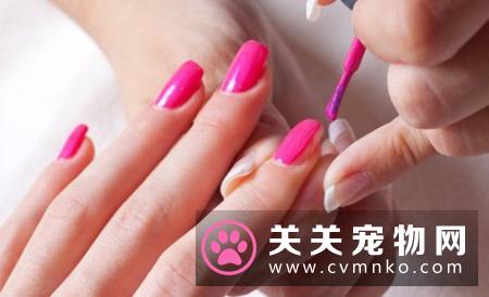 猫肠梗阻症状 猫肠梗阻的病因及需要防治方法