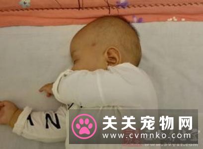 猫肺炎吃什么药 猫肺炎的症状及防治方法