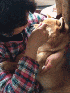 如果狗子生病，你们会不顾一切的救它吗？