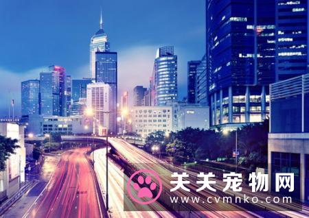 希腊经济衰退如何影响宠物市场？