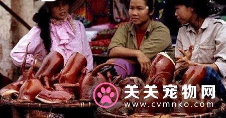 如果立法禁食狗肉你支持吗？