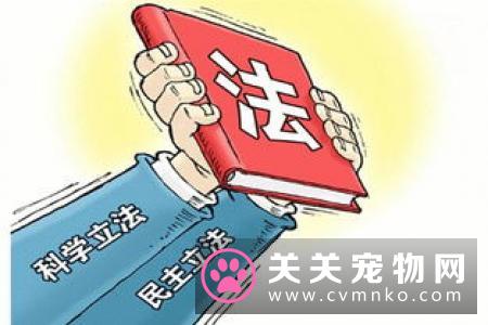 南和县公告：将开展打击无证生产加工宠物食品的行为