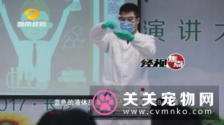 家庭清洁用错消毒液，你的猫可能被中毒...