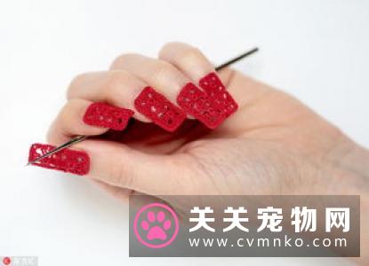 CGC宠物美容大会导师首度亮相，“指尖艺术家”是你吗！