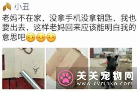 网友要出门，妈妈没带钥匙，于是…想到了家里的狗