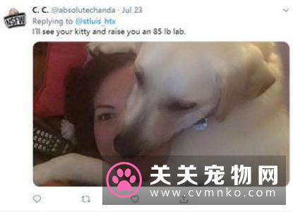 总觉得睡觉时呼吸困难，床边装了个摄像头才发现罪魁祸首