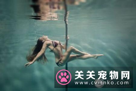 港媒：西方对中国评价从不屑到惊慌