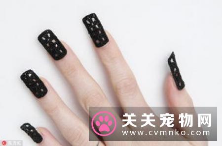 CGC宠物美容大会导师首度亮相，“指尖艺术家”是你吗！