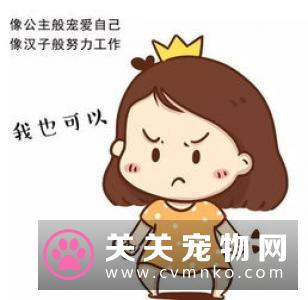 哪里可以买到猫 细数养猫的好处与坏处