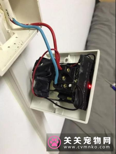 总觉得睡觉时呼吸困难，床边装了个摄像头才发现罪魁祸首