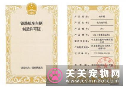 宠物经济的崛起，证明宠物产业将是未来一个欣欣向荣的风口