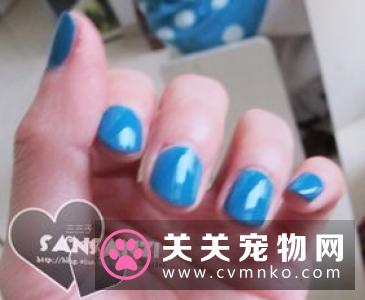 CGC宠物美容大会导师首度亮相，“指尖艺术家”是你吗！