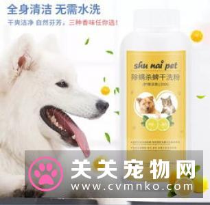 如果狗子生病，你们会不顾一切的救它吗？