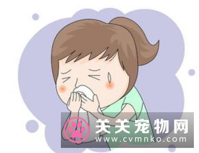 哪里可以买到猫 细数养猫的好处与坏处