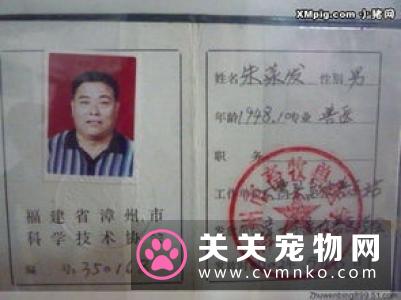 公猫好还是母猫好 可据自身的情况来选择