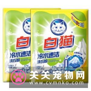家庭清洁用错消毒液，你的猫可能被中毒...