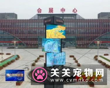 南和县将打造“中国宠物产业之都”