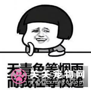 今年618这些宠物商家都用了哪些剁手秘籍？