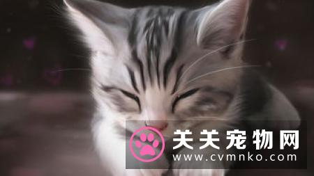猫吃什么最好 幼猫吃幼猫粮大了吃成猫粮