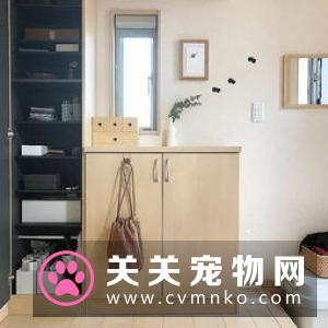 网友要出门，妈妈没带钥匙，于是…想到了家里的狗