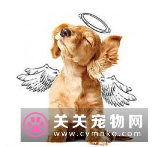 养犬法规规定狗狗必须接种狂犬病疫苗