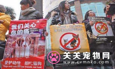 如果立法禁食狗肉你支持吗？
