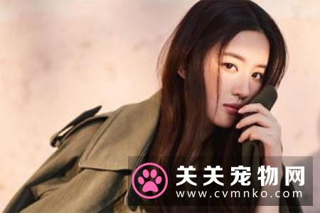 流浪猫因长相怪异被调侃像明星 却成功帮助它找到领养者