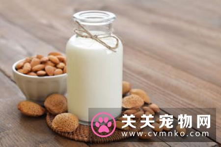 幼猫能吃妙鲜包吗 最好少食用以免肠胃不消化