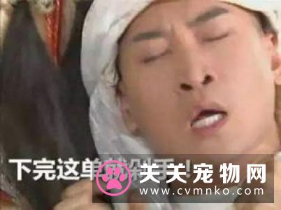 今年618这些宠物商家都用了哪些剁手秘籍？